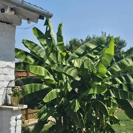 Urlaub In Den Weinbergen * Nagykanizsa