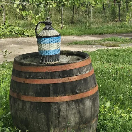 Feriehus Urlaub In Den Weinbergen *